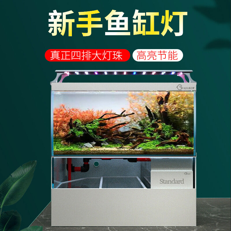 水草燈